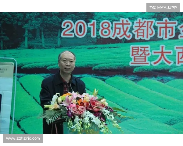 老头杯赛事：传承与创新并行的竞技精神与文化碰撞