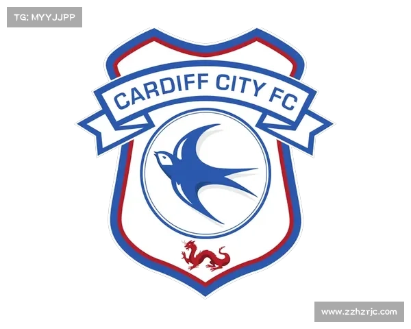 全面探寻加的夫城球队所参与足球联赛类型的实用辨识攻略大全指南