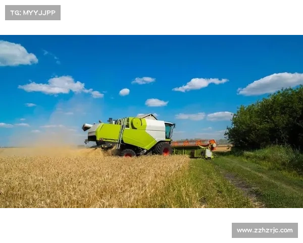 小麦国家队成功的五大关键因素揭秘助力农产品生产与全球竞争力提升